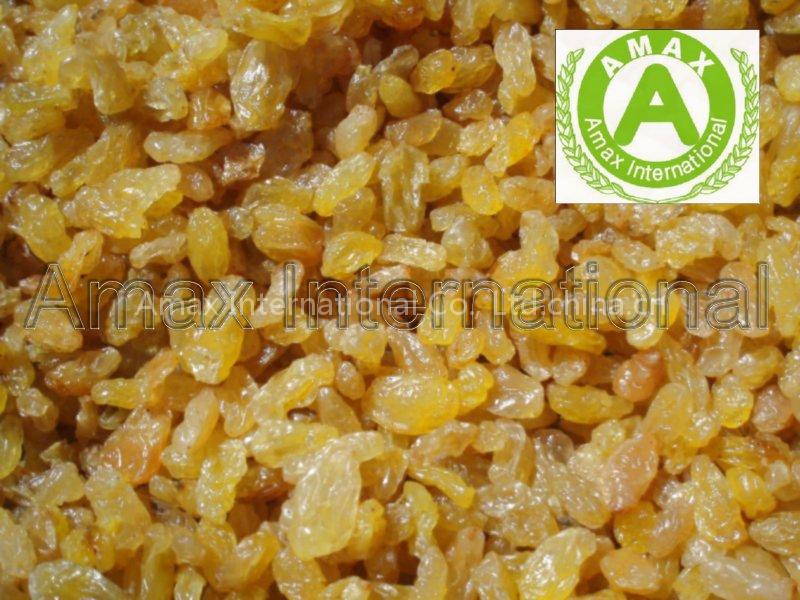Golden Raisin