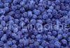 iqf wild blueberry