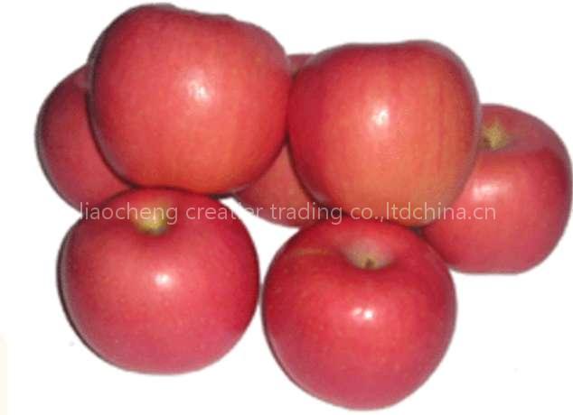 fresh apple