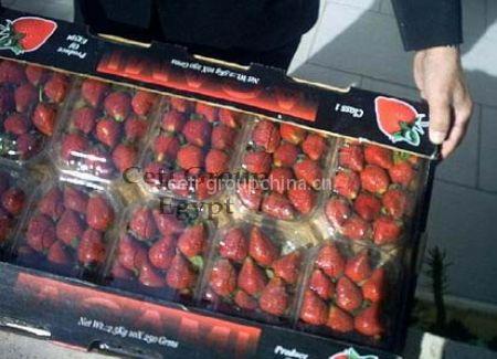 STRAWBERRY OFFER