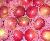 red star apple