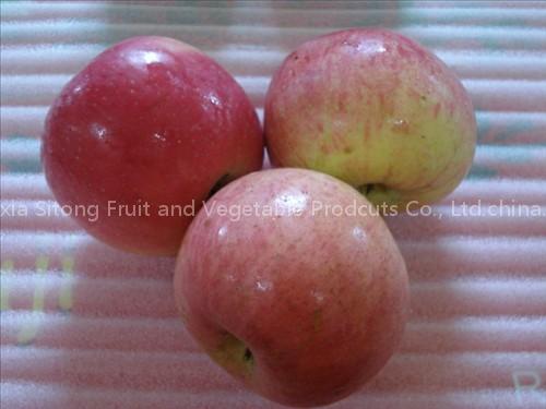 fresh fruit apple