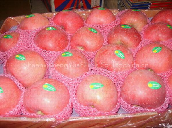 fresh apple