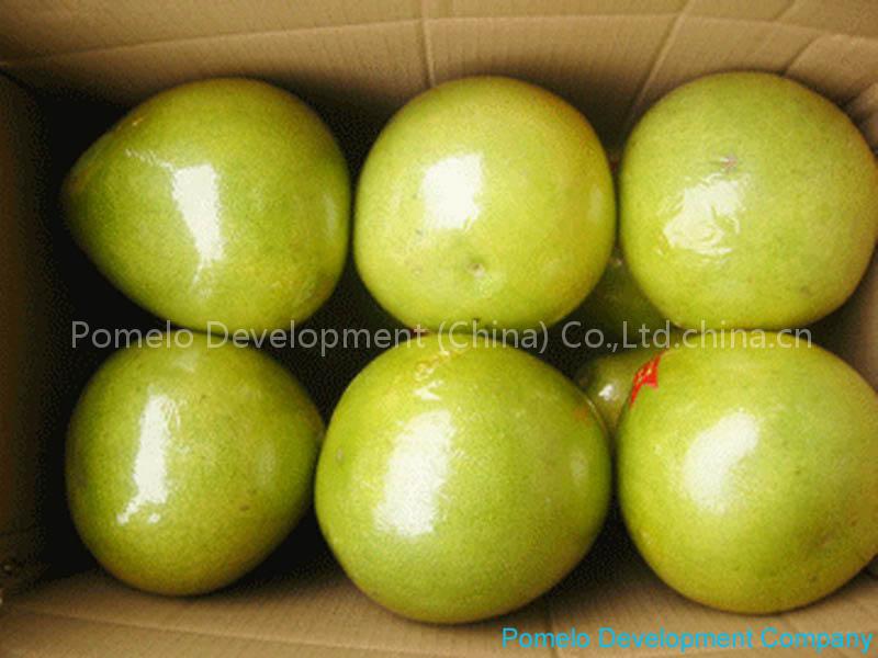 Honey pomelo