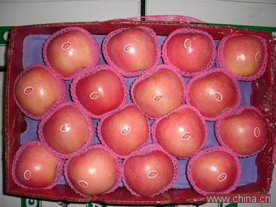 fuji apples