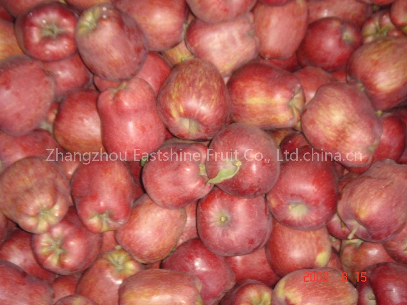 Fuji Apple (Apple, Fresh apple)