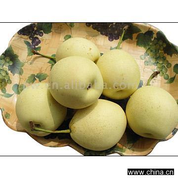 Chinese Ya Pear