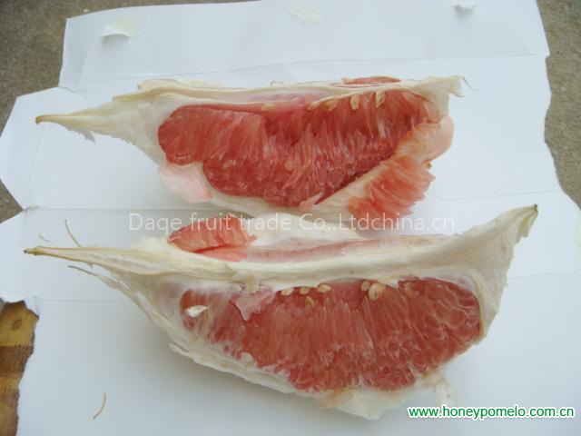 grapefruit