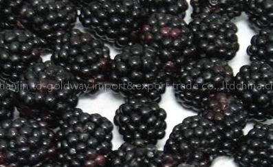 IQF BlackBerry