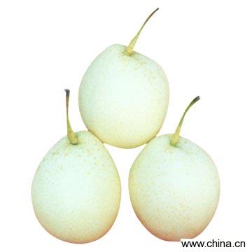 Ya Pear