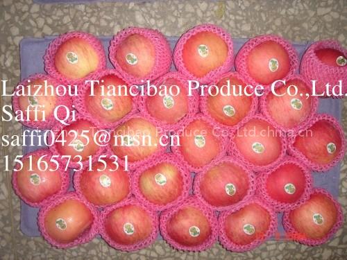 Tiancibao fresh red fuji apple