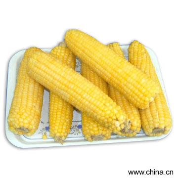 Frozen Glutinous Maize