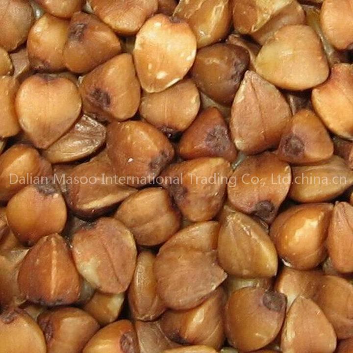 roasted buckwheat kernel