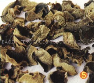 Black fungus