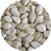 sunflower seeds/pumpkin seeds/melon seeds