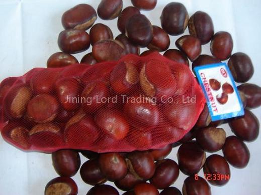Chinese Chestnuts