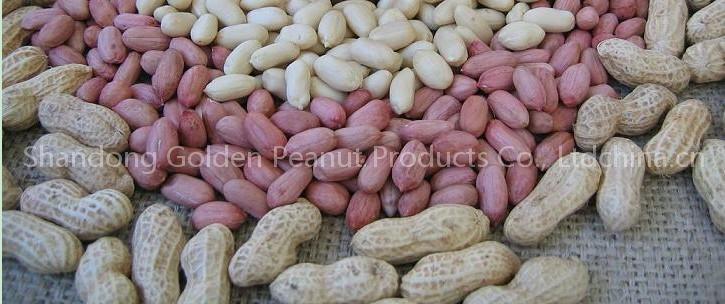 peanut