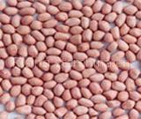 Peanut kernels in round shape