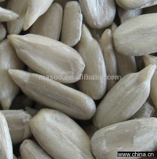 Sunflower Seed Kernel