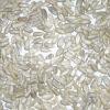 Sunflower Kernel