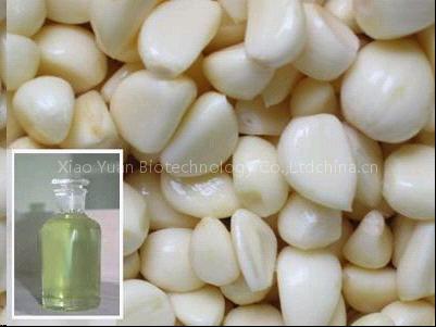 Garlic oil