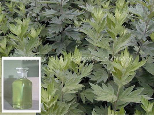 Artemisia Leaf Oil