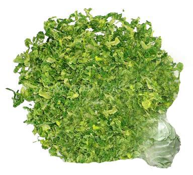 Dehydrated cabbage