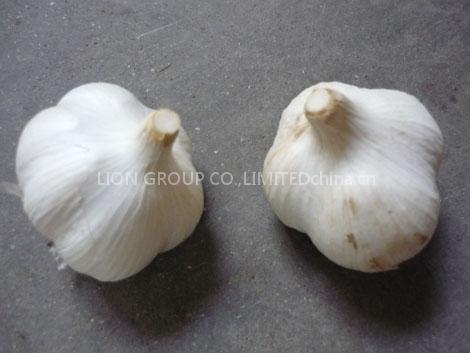 garlic