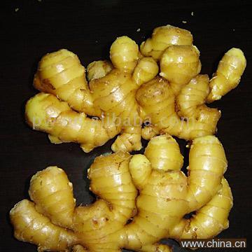 Fresh Chinese Ginger