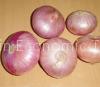 onion