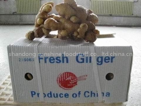 ginger