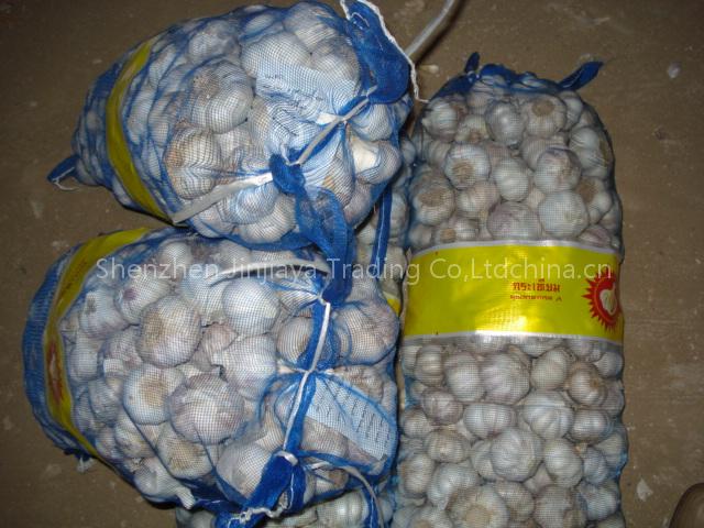 garlic