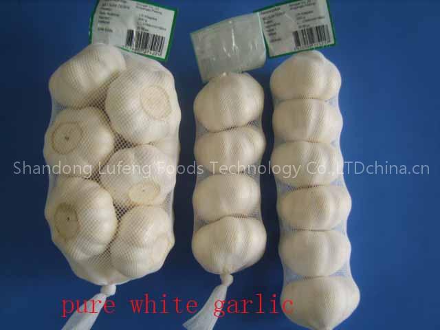 2009's garlic