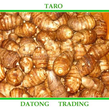 Taro