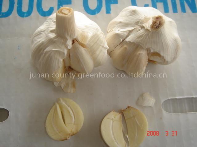 garlic