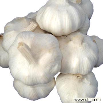 White Garlic