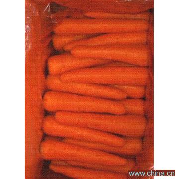Fresh Carrot