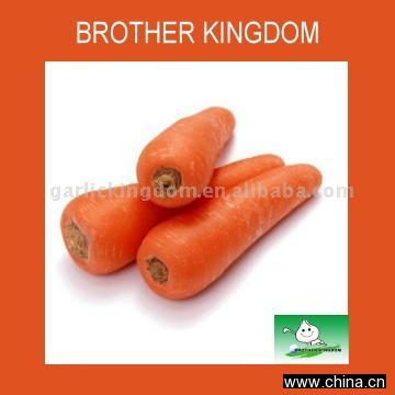 Carrot