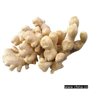 Fresh Ginger