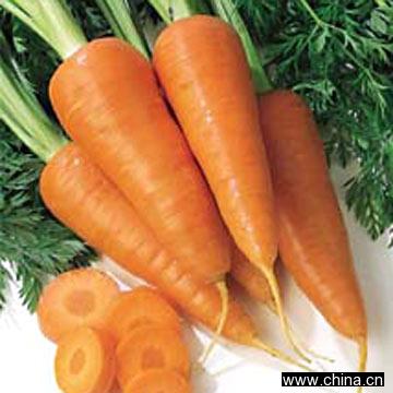 Carrots
