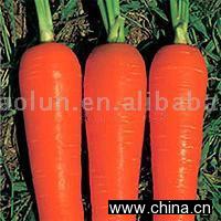 Carrots
