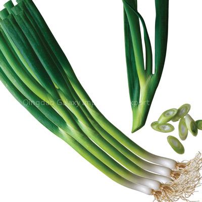 Green Onions
