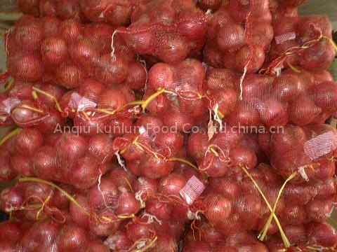 fresh red onion