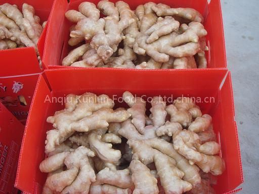 dried ginger