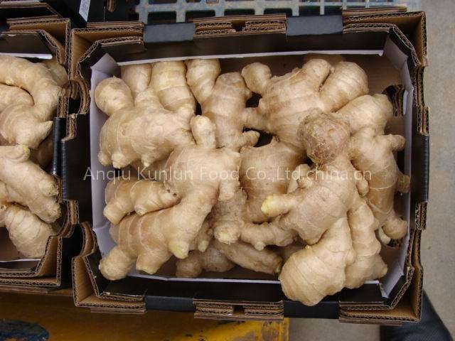 fresh & dried ginger