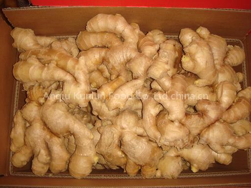 fresh& dried ginger