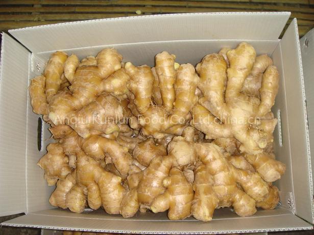 Air Dried Ginger