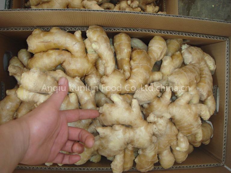 Air-dry Ginger