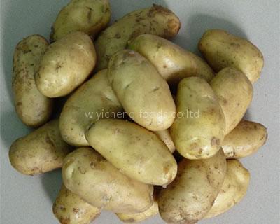 potato