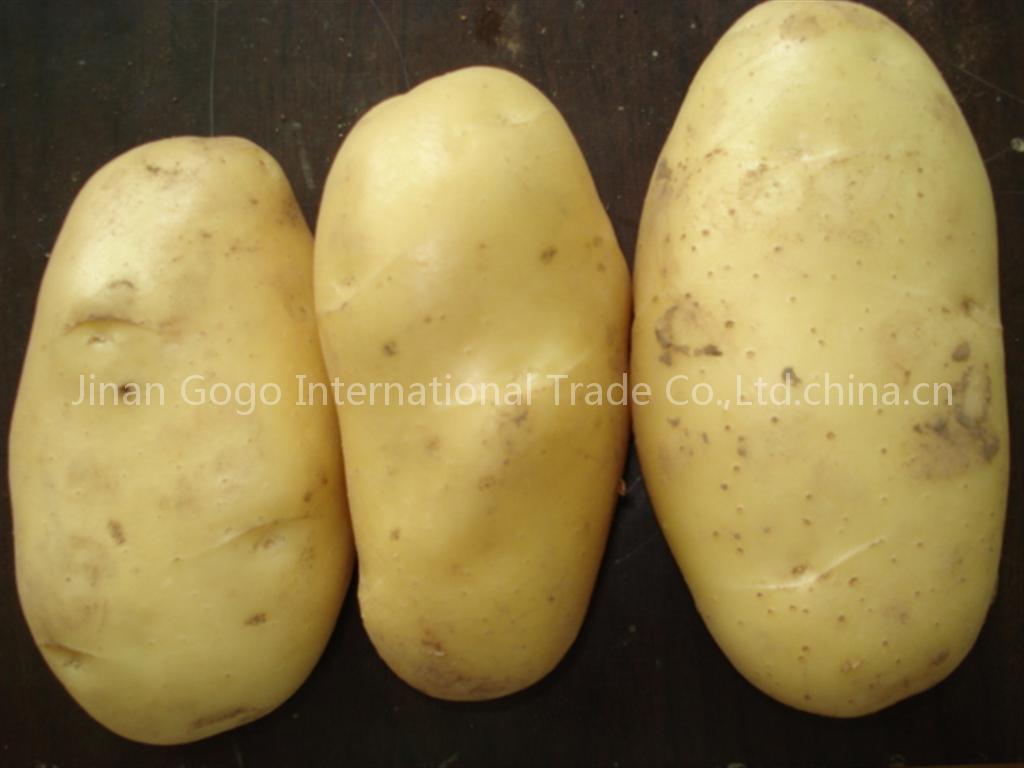 potato
